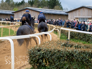 BP140425-41 - Ben Pauling Stable Visit